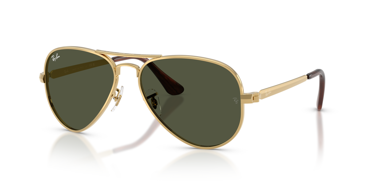 Ray-Ban Aviator Max RB3925 001/31