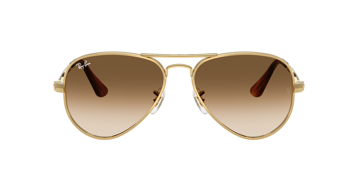 Ray-Ban Aviator Max RB3925 001/51