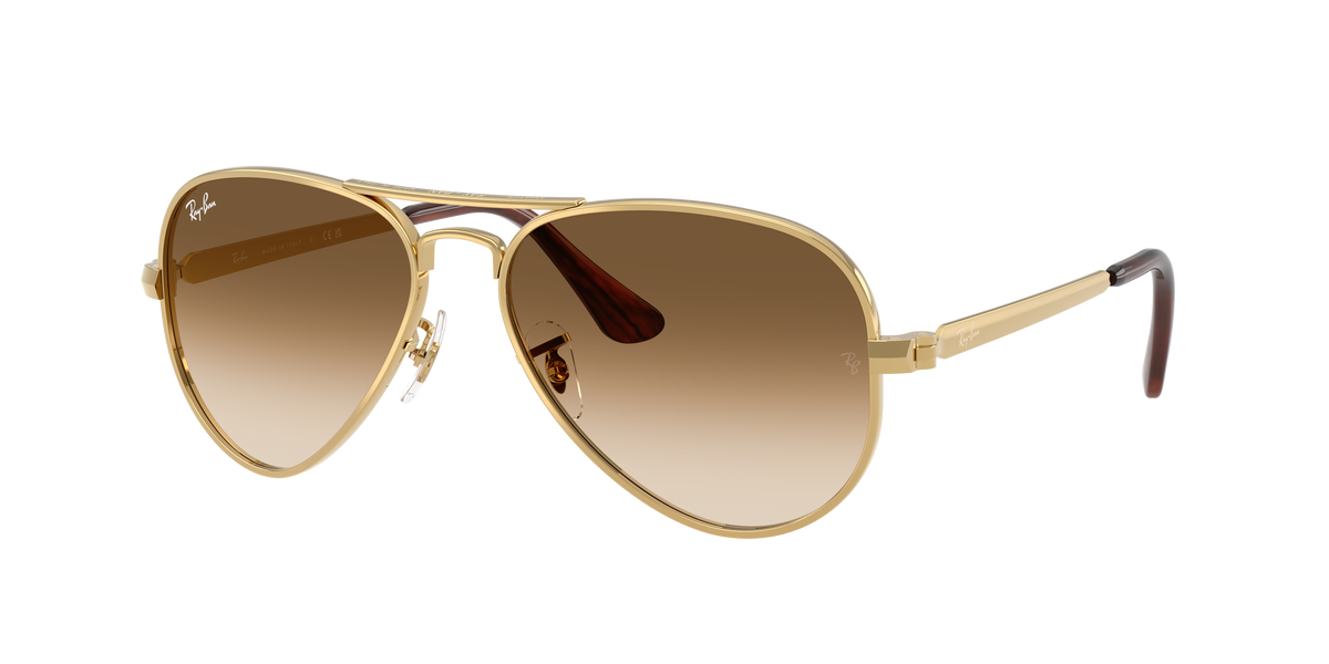 Ray-Ban Aviator Max RB3925 001/51