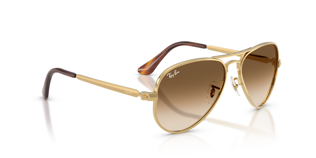 Ray-Ban Aviator Max RB3925 001/51