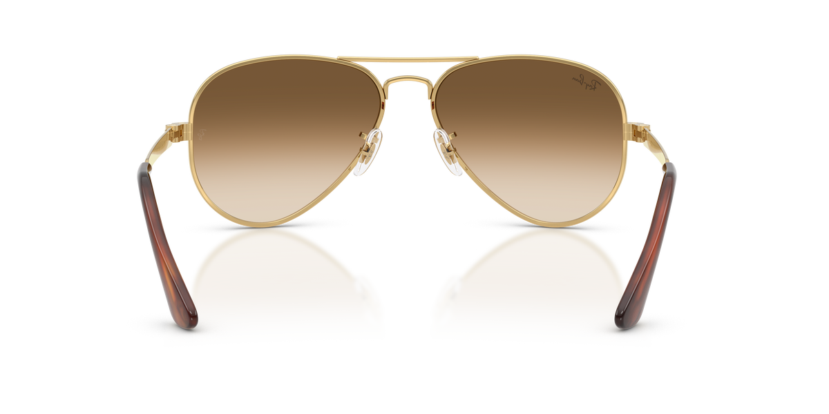 Ray-Ban Aviator Max RB3925 001/51