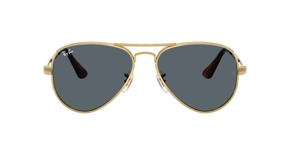 Ray-Ban Aviator Max RB3925 001/R5
