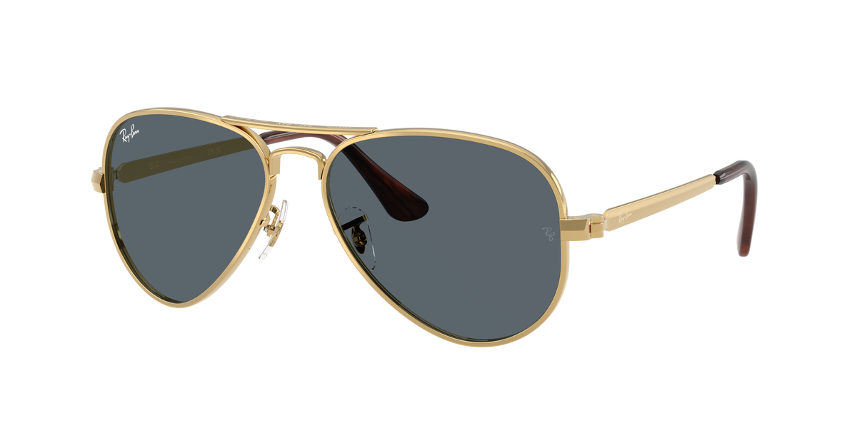 Ray-Ban Aviator Max RB3925 001/R5