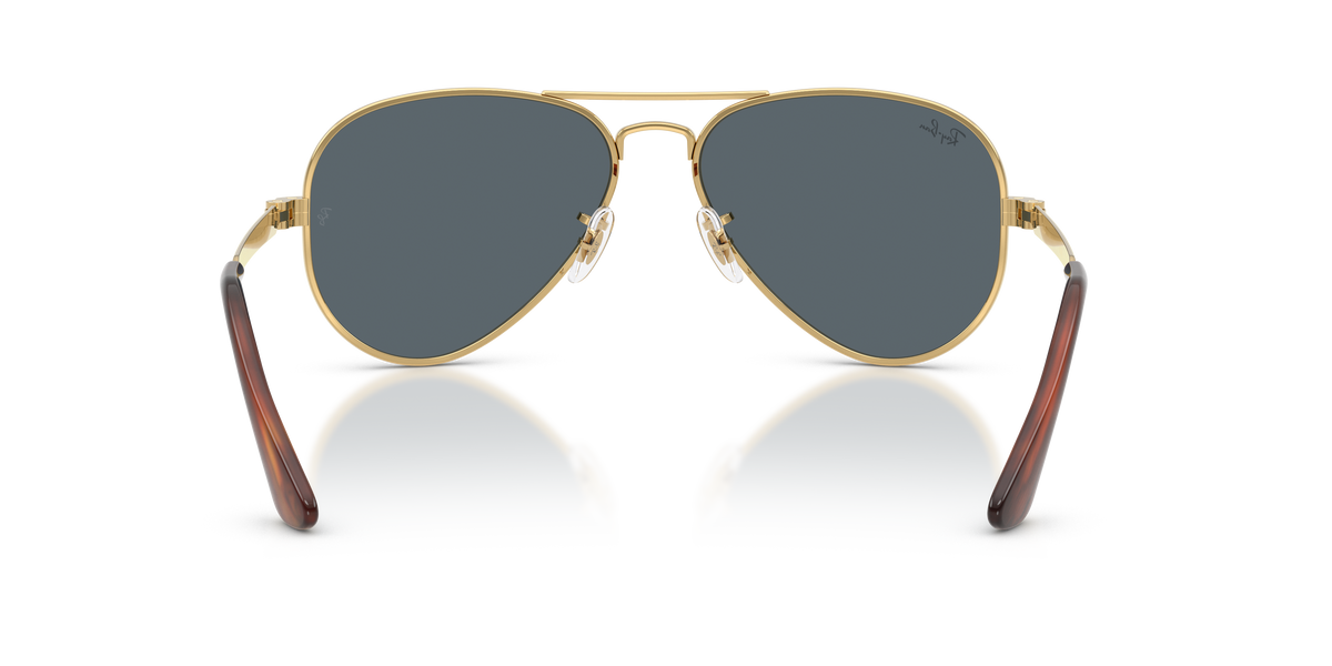 Ray-Ban Aviator Max RB3925 001/R5