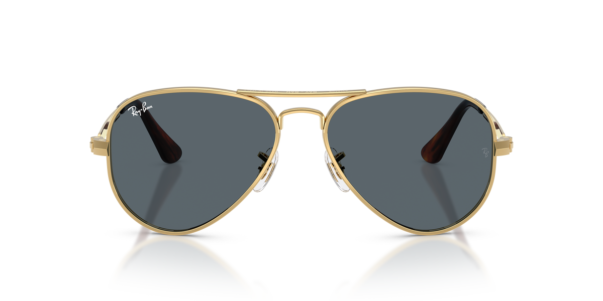 Ray-Ban Aviator Max RB3925 001/R5