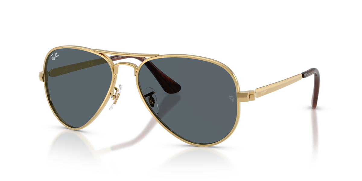 Ray-Ban Aviator Max RB3925 001/R5