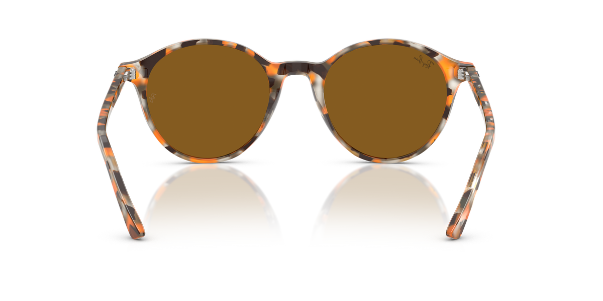 Ray-Ban Bernard RB2230 135733