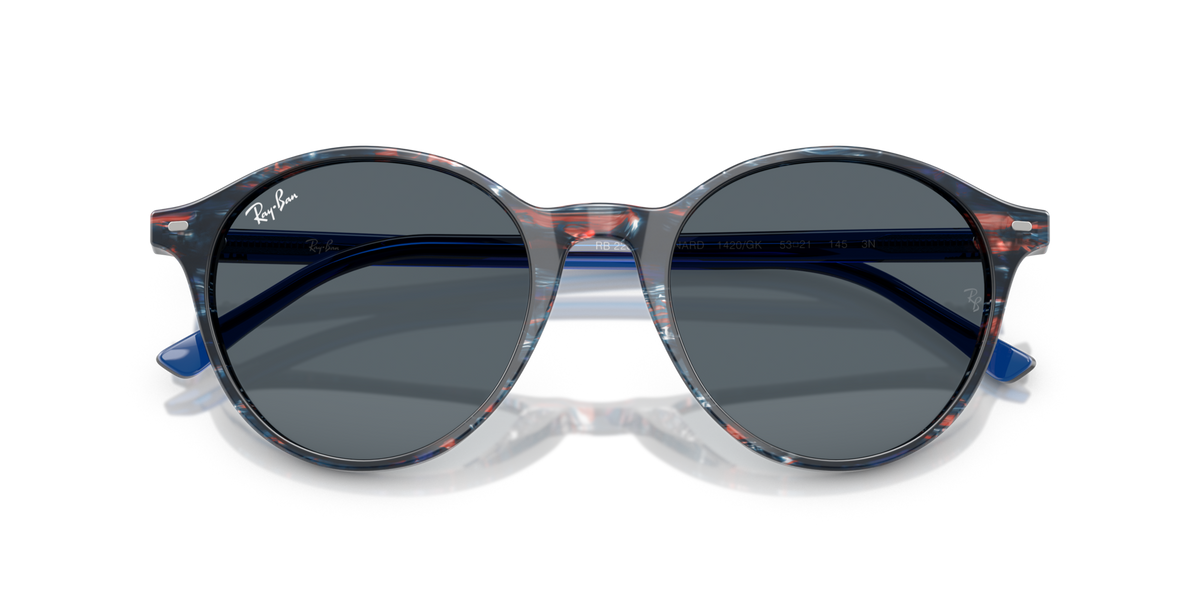 Ray-Ban Bernard RB2230 1420GK