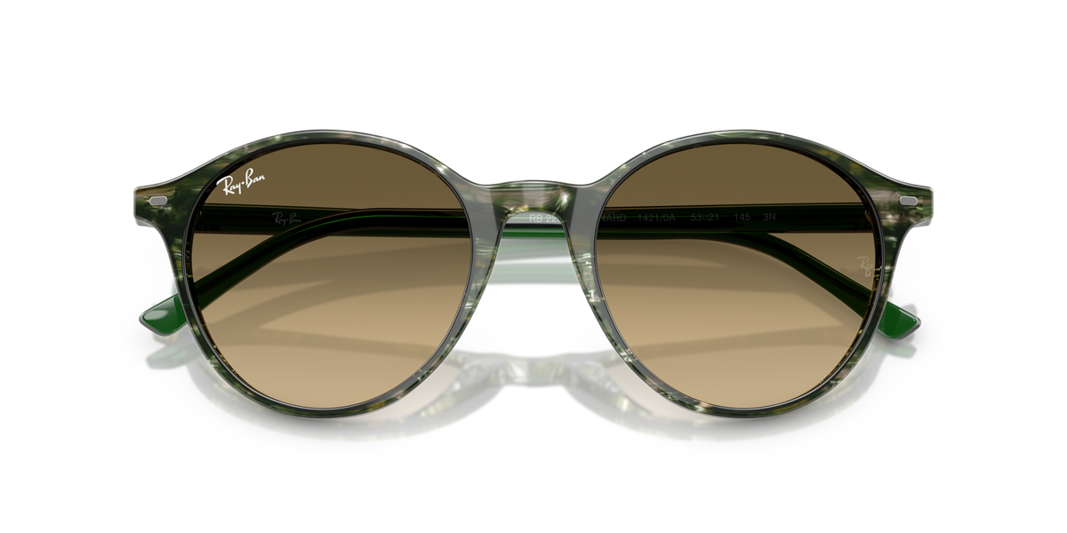 Ray-Ban Bernard RB2230 14210A