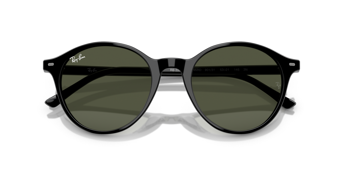 Ray-Ban Bernard RB2230 901/31