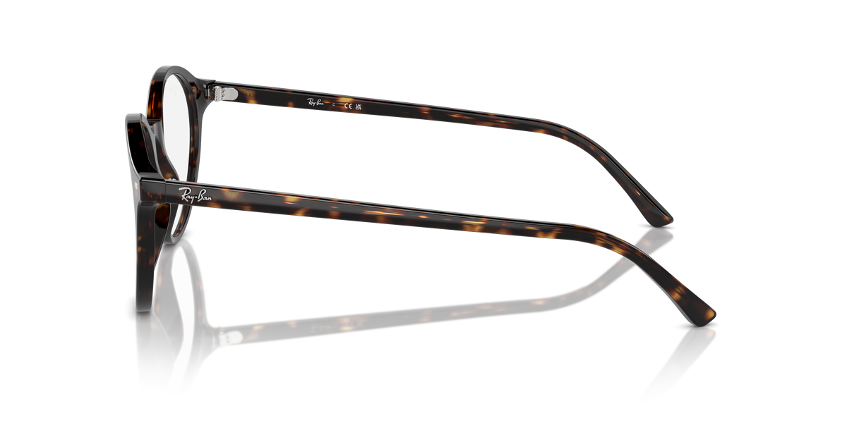 Ray-Ban Bernard RX5430 2012