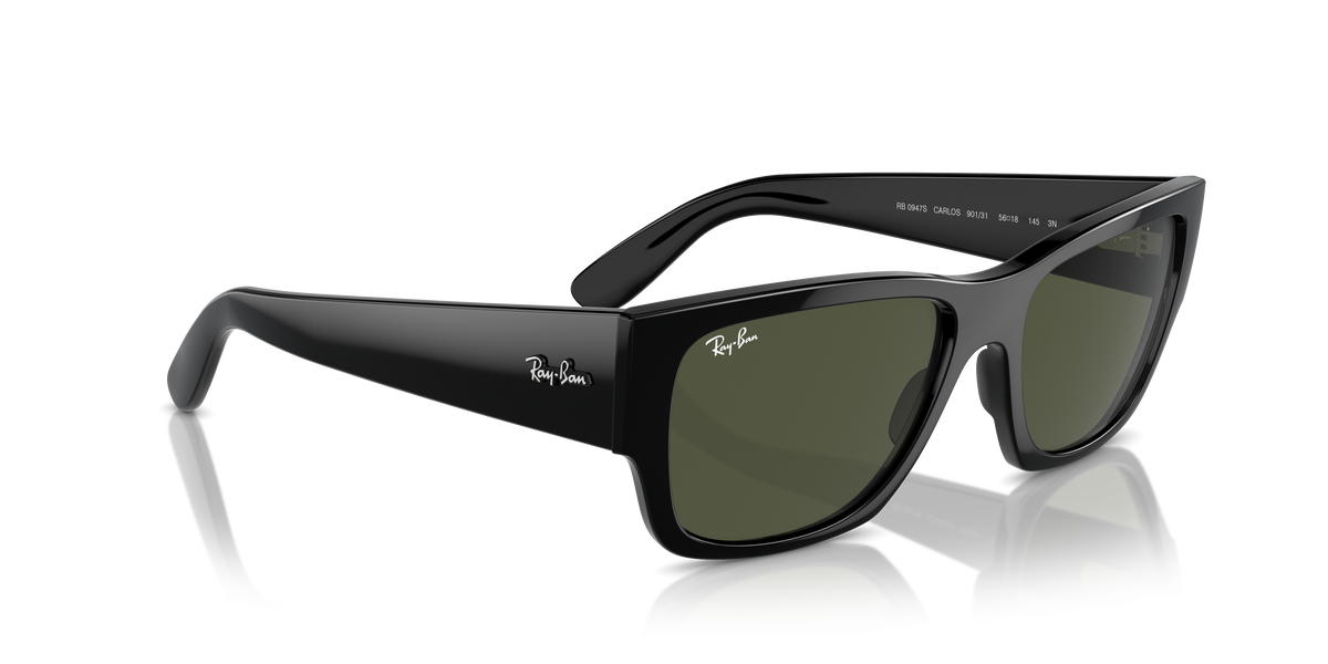Ray-Ban Carlos RB0947S 901/31
