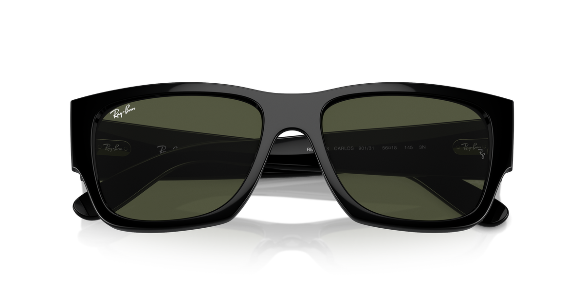 Ray-Ban Carlos RB0947S 901/31