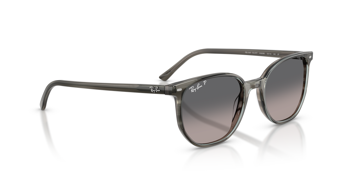 Ray-Ban Elliot RB2197 1438M3