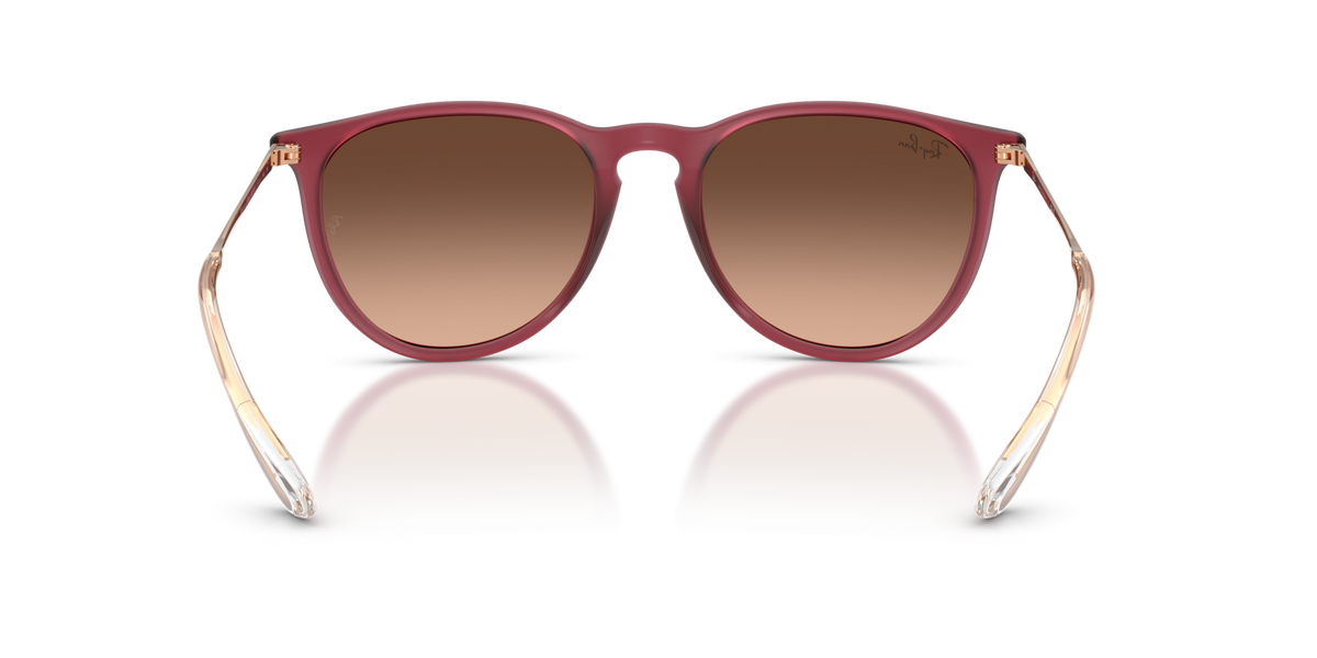 Ray-Ban Erika RB4171 6815A5