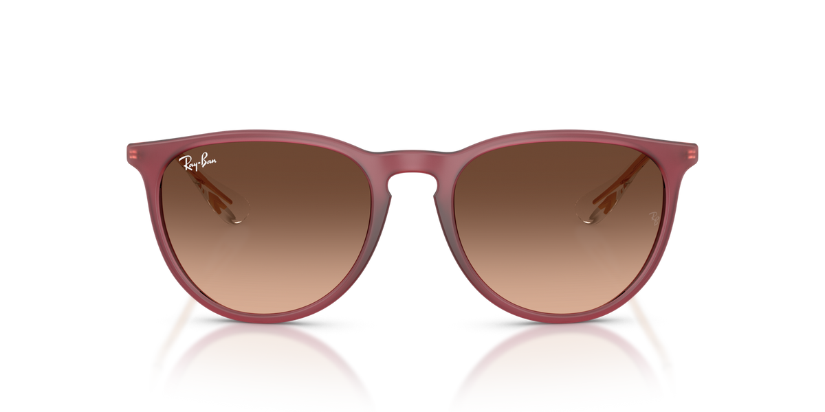 Ray-Ban Erika RB4171 6815A5
