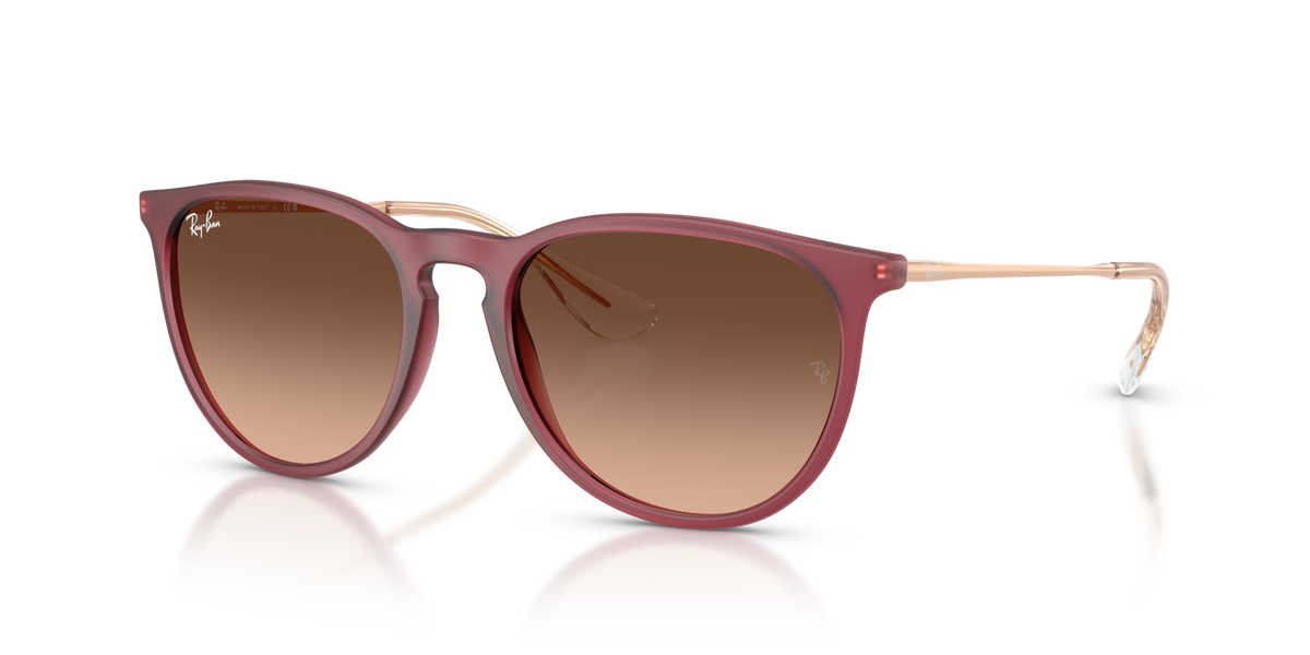 Ray-Ban Erika RB4171 6815A5
