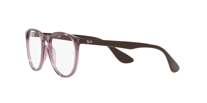 Ray-Ban Erika RX7046 8139