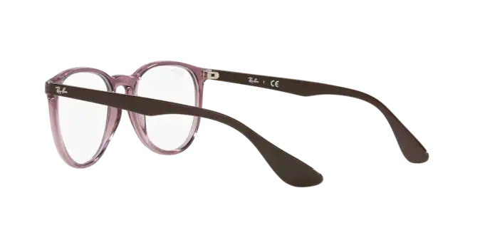 Ray-Ban Erika RX7046 8139