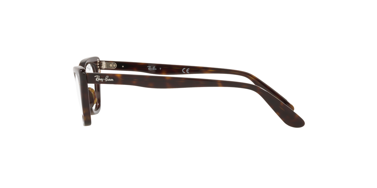 Ray-Ban RY9099V MISS BURBANK 3887