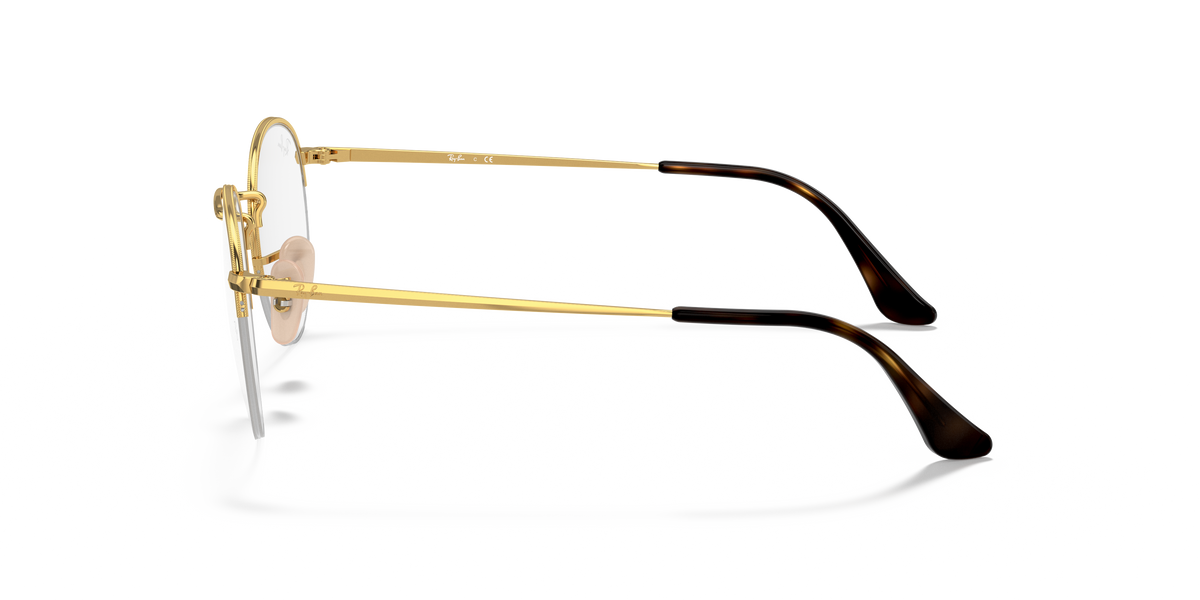 Ray-Ban RX3947V ROUND GAZE 2500