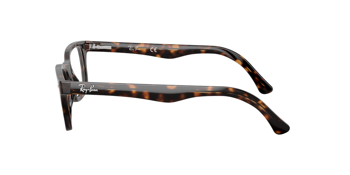 Ray-Ban RX5228 2012