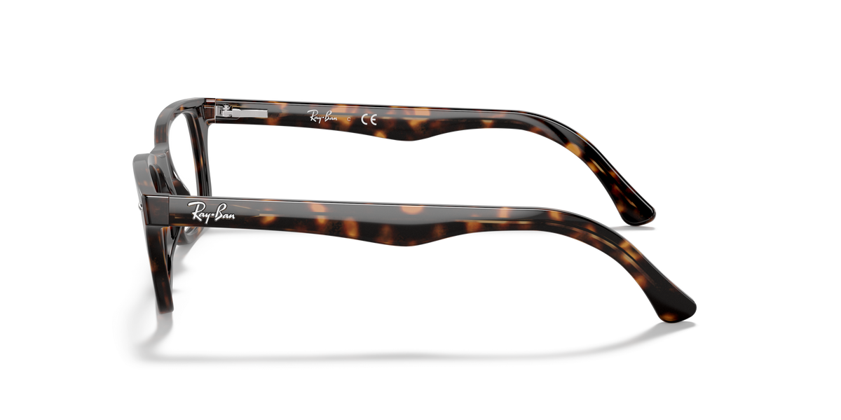 Ray-Ban RX5228 2012