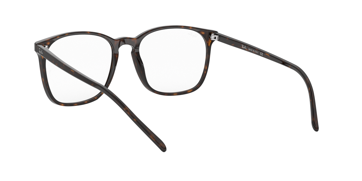 Ray-Ban RX5387 2012
