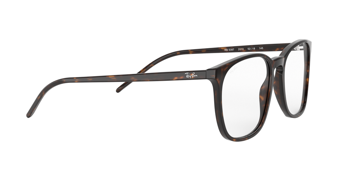 Ray-Ban RX5387 2012