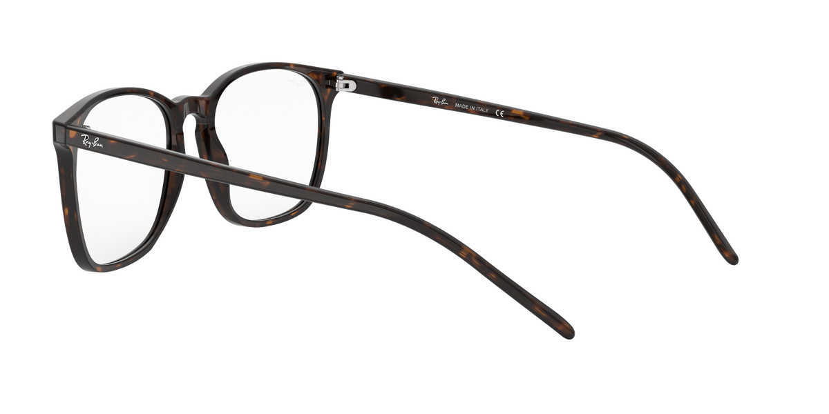 Ray-Ban RX5387 2012