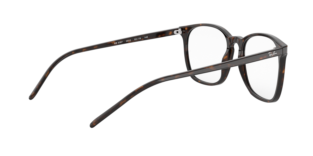 Ray-Ban RX5387 2012
