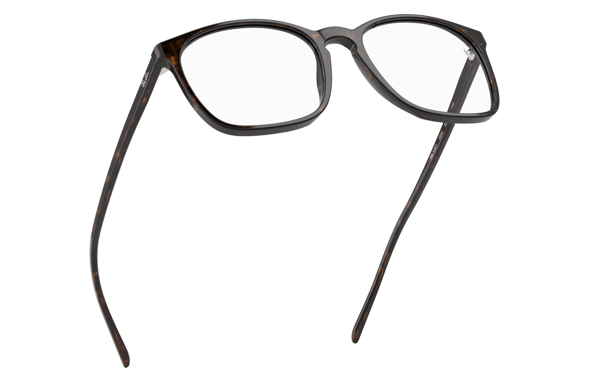 Ray-Ban RX5387 2012
