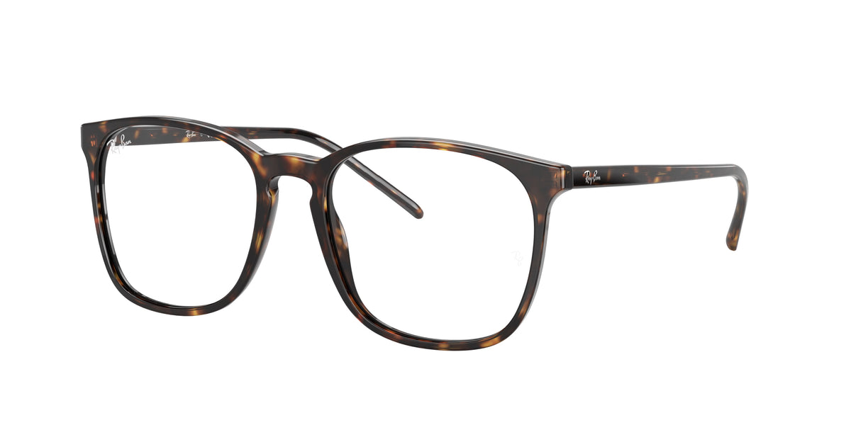 Ray-Ban RX5387 2012