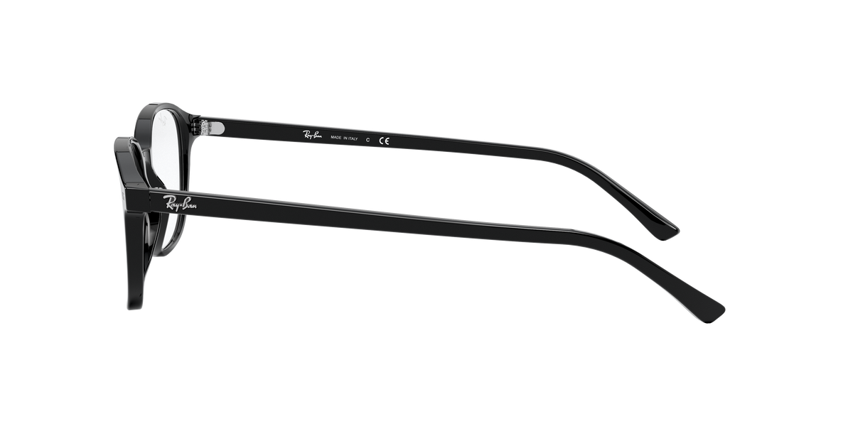 Ray-Ban RX5393 LEONARD 2000