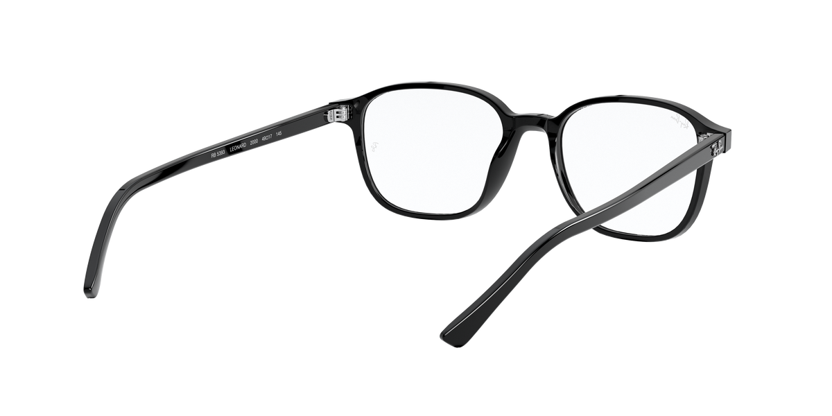 Ray-Ban RX5393 LEONARD 2000