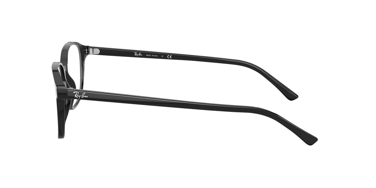 Ray-Ban RX5393 LEONARD 2000