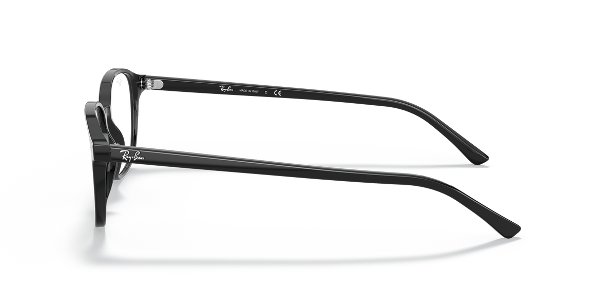 Ray-Ban RX5393 LEONARD 2000