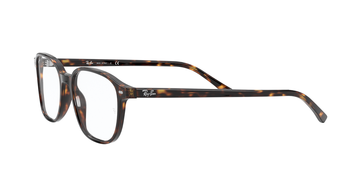 Ray-Ban RX5393 LEONARD 2012