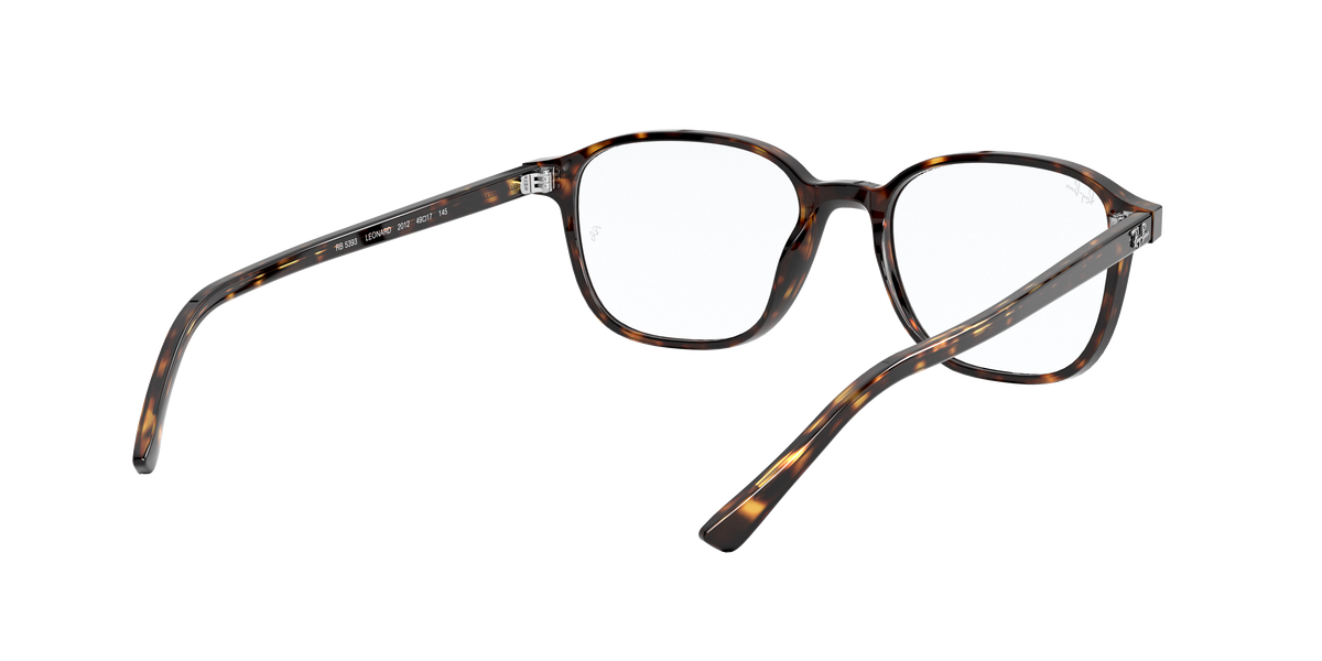 Ray-Ban RX5393 LEONARD 2012
