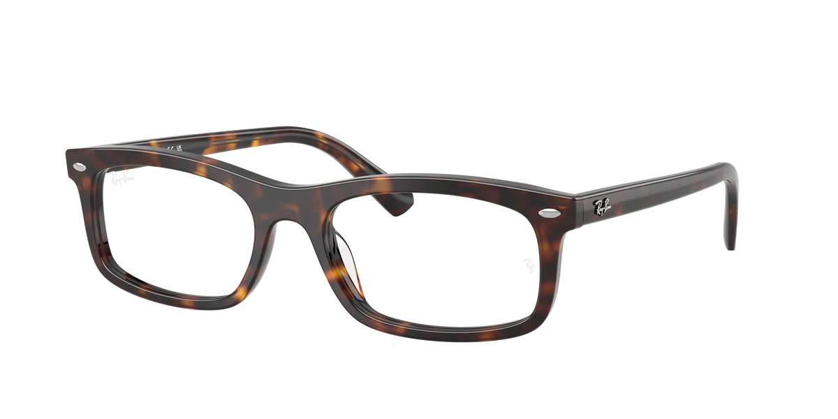 Ray-Ban RX5450 2012