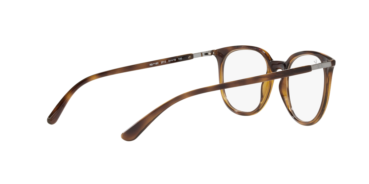 Ray-Ban RX7190 2012