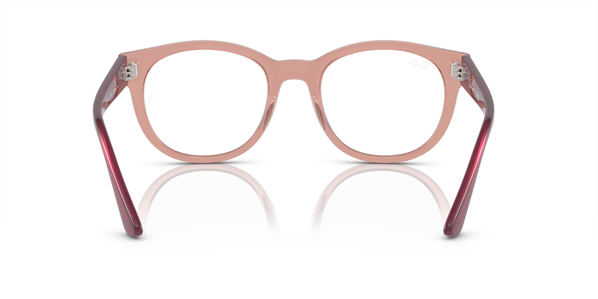 Ray-Ban RX7227 8314