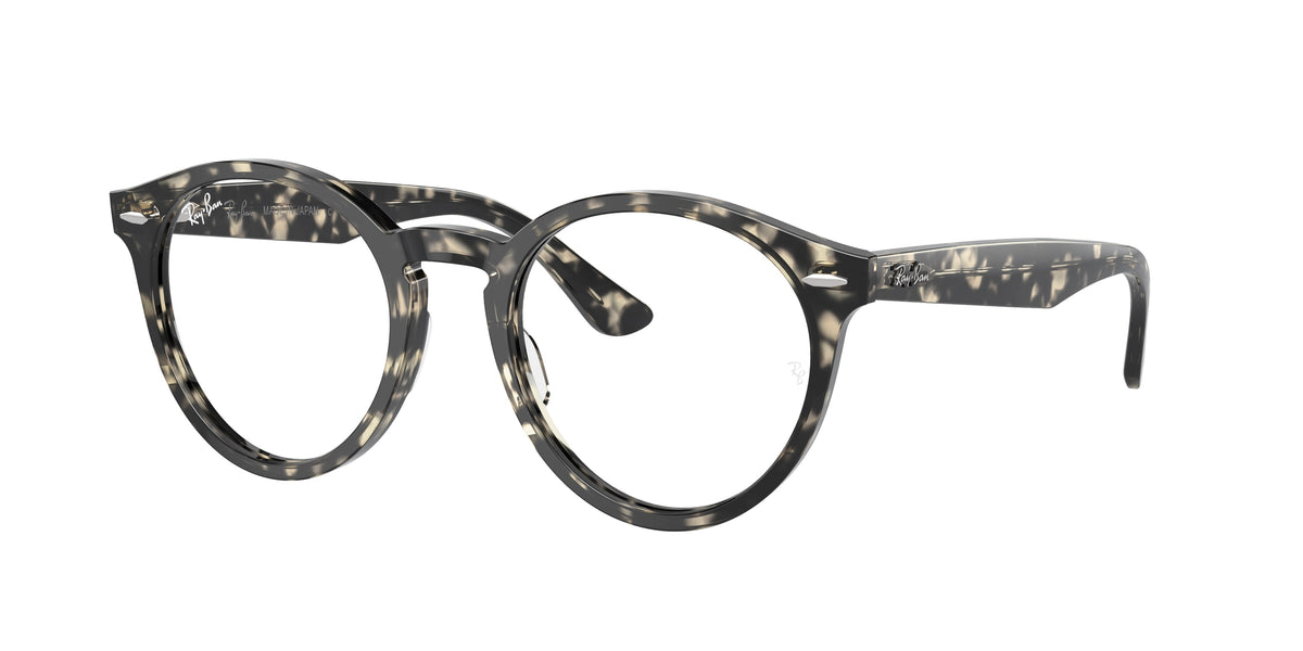 Ray-Ban RX7680V LARRY 8117