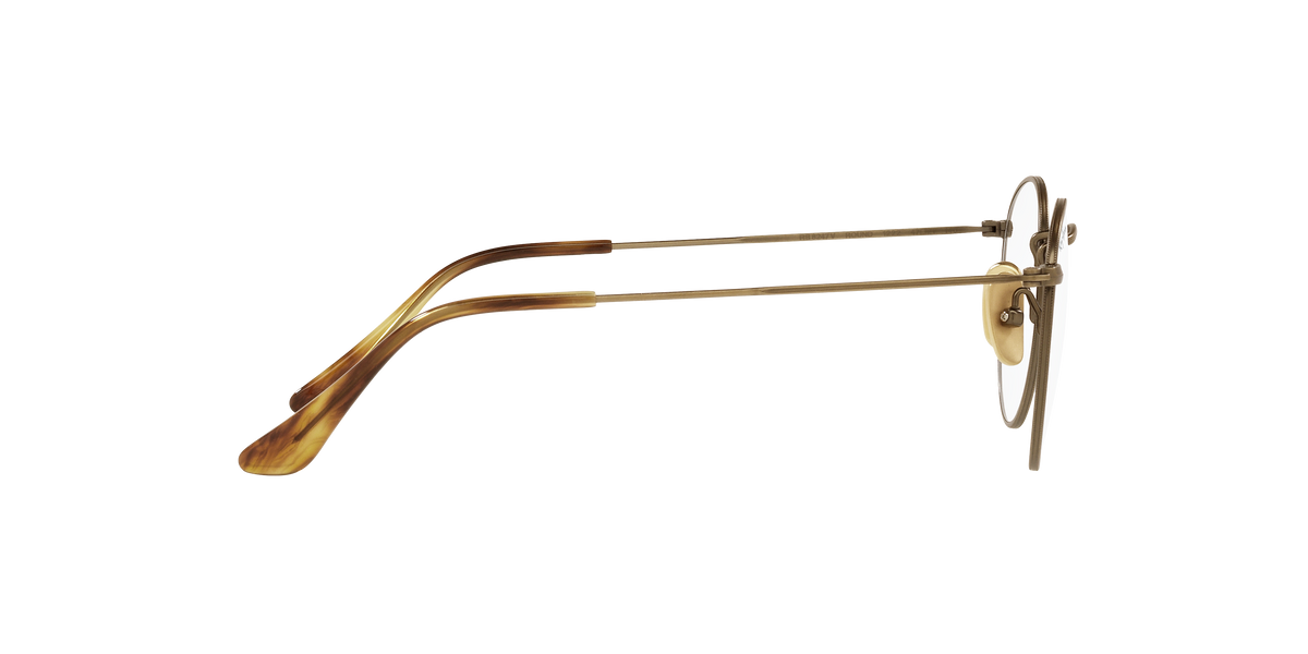 Ray-Ban RX8247V ROUND 1222