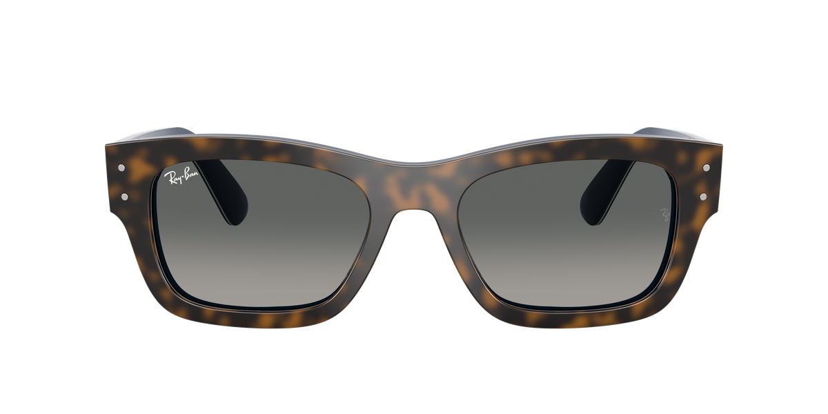 Ray-Ban Joseph RB7683S 140171