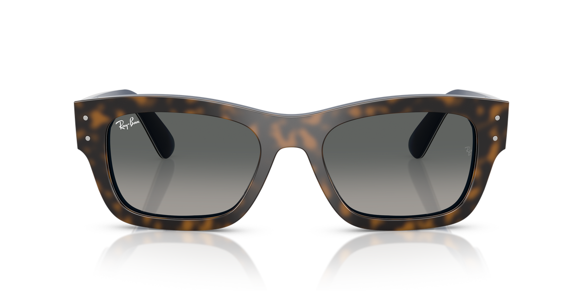 Ray-Ban Joseph RB7683S 140171