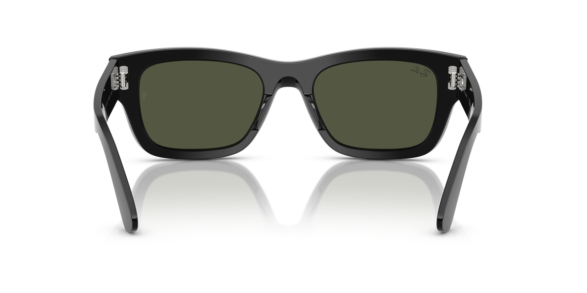 Ray-Ban Joseph RB7683S 901/31