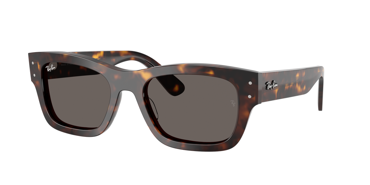 Ray-Ban Joseph RB7683S 902/B1