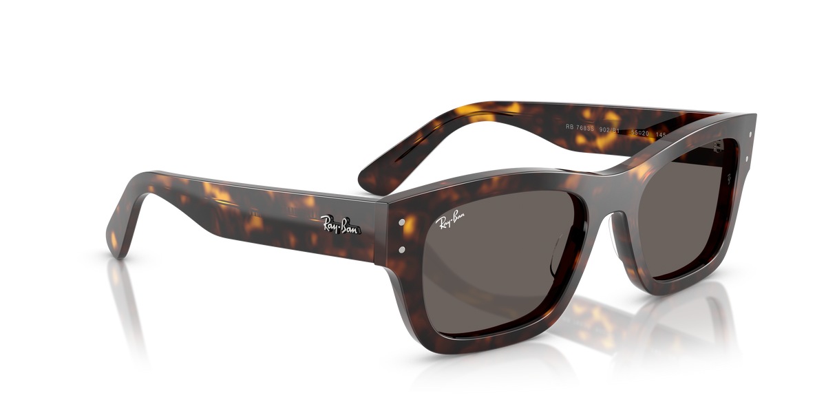 Ray-Ban Joseph RB7683S 902/B1