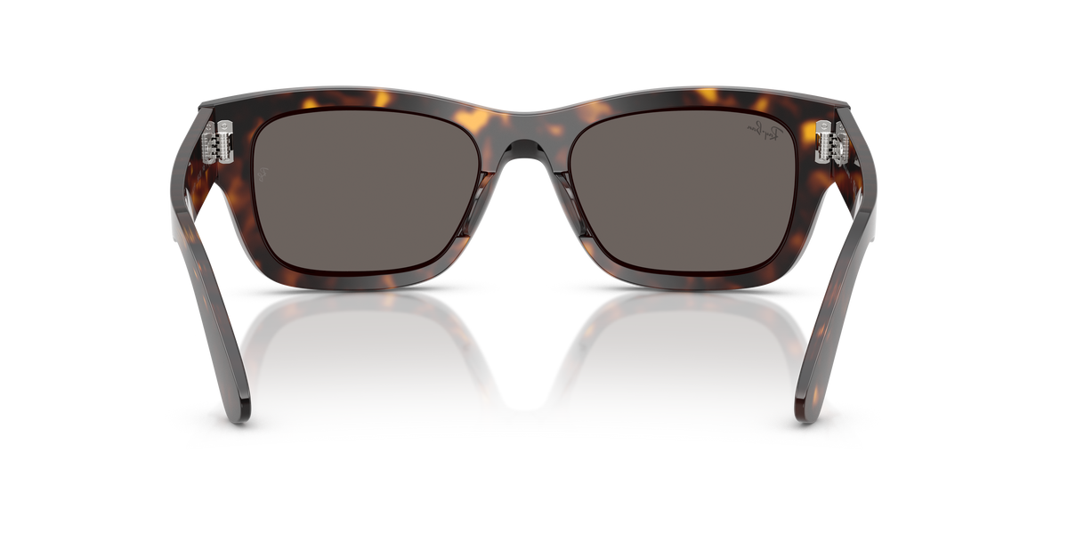 Ray-Ban Joseph RB7683S 902/B1